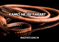 Kamçı Ne İşe Yarar?