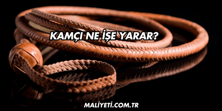 Kamçı Ne İşe Yarar?