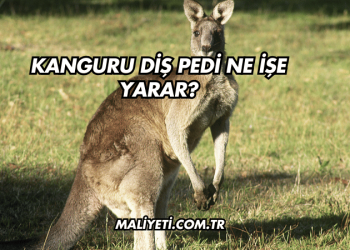 Kanguru Diş Pedi Ne İşe Yarar?