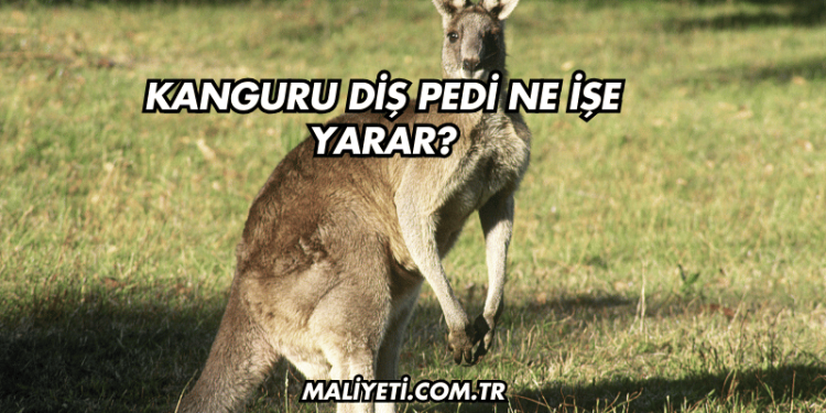 Kanguru Diş Pedi Ne İşe Yarar?