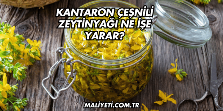 Kantaron Çeşnili Zeytinyağı Ne İşe Yarar?