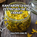 Kantaron Çeşnili Zeytinyağı Ne İşe Yarar?