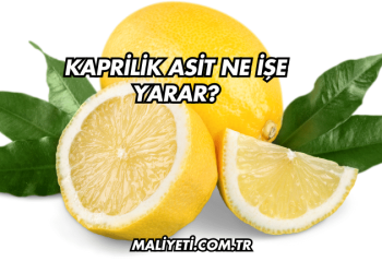Kaprilik Asit Ne İşe Yarar?