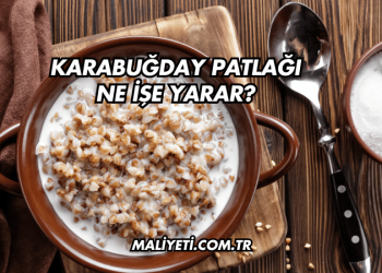 Karabuğday Patlağı Ne İşe Yarar?