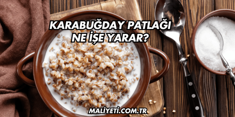 Karabuğday Patlağı Ne İşe Yarar?
