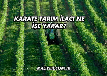 Kambiyum Ne İşe Yarar?