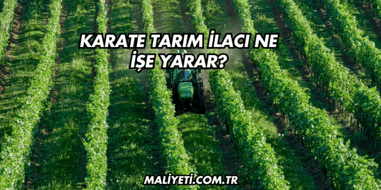 Kambiyum Ne İşe Yarar?