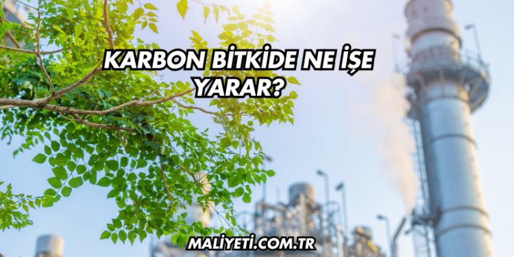 Karbon Bitkide Ne İşe Yarar?