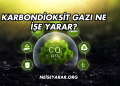 Karbondioksit Gazı Ne İşe Yarar?