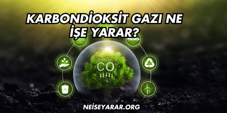 Karbondioksit Gazı Ne İşe Yarar?