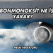 Karbonmonoksit Ne İşe Yarar?