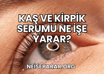 Kaş ve Kirpik Serumu Ne İşe Yarar?