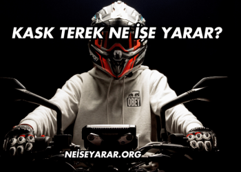 Kask Terek Ne İşe Yarar?