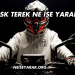 Kask Terek Ne İşe Yarar?