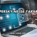 Kaspersky Ne İşe Yarar?