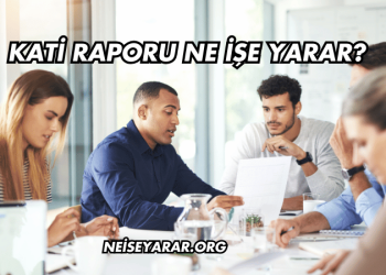 Kati Raporu Ne İşe Yarar?