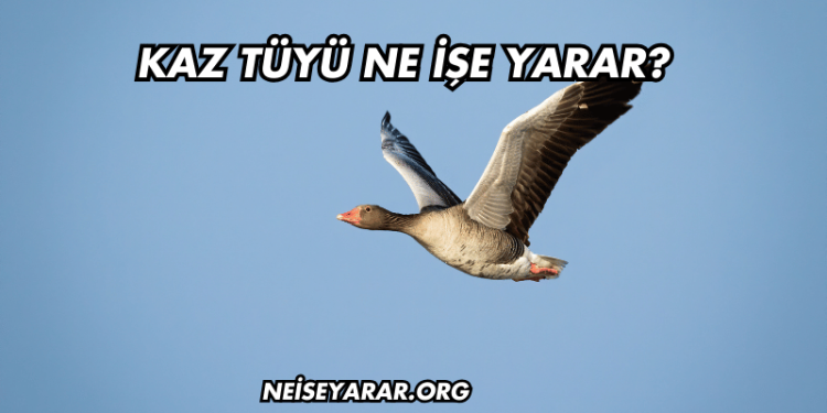 Kaz Tüyü Ne İşe Yarar?