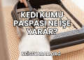 Kedi Kumu Paspası Ne İşe Yarar?