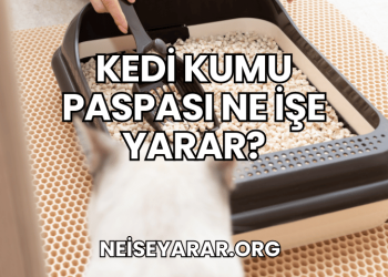 Kedi Kumu Paspası Ne İşe Yarar?