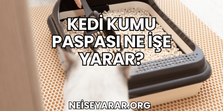 Kedi Kumu Paspası Ne İşe Yarar?