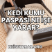 Kedi Kumu Paspası Ne İşe Yarar?