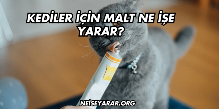 Kediler İçin Malt Ne İşe Yarar?