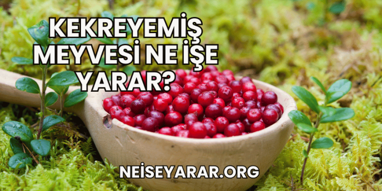 Kekreyemiş Meyvesi Ne İşe Yarar?