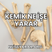 Kemik Ne İşe Yarar