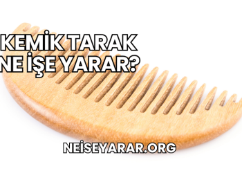 Kemik Tarak Ne İşe Yarar?