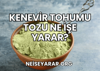 Kenevir Tohumu Tozu Ne İşe Yarar?