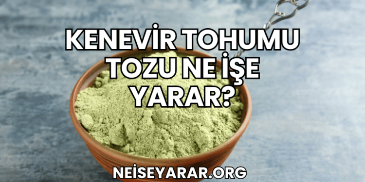 Kenevir Tohumu Tozu Ne İşe Yarar?