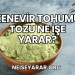 Kenevir Tohumu Tozu Ne İşe Yarar?