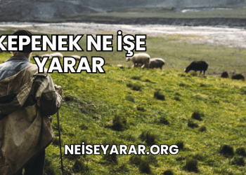 Kepenek Ne İşe Yarar