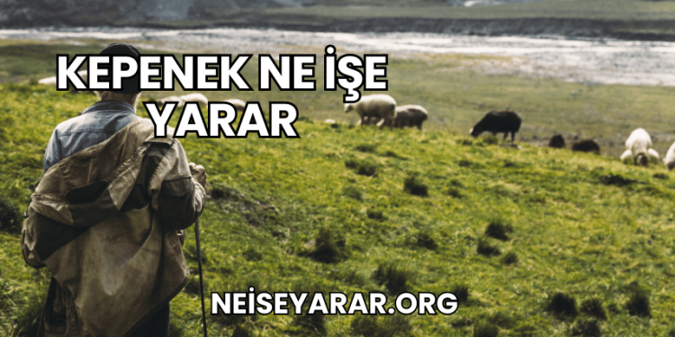 Kepenek Ne İşe Yarar