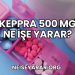 Keppra 500 Mg Ne İşe Yarar?