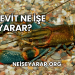 Kerevit Ne İşe Yarar?