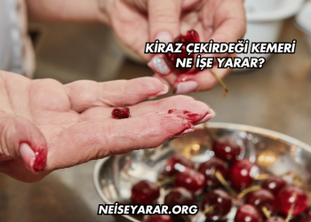 Kiraz Çekirdeği Kemeri Ne İşe Yarar?