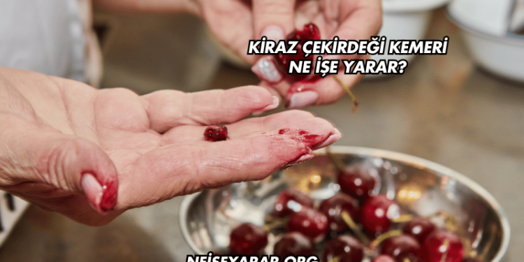 Kiraz Çekirdeği Kemeri Ne İşe Yarar?