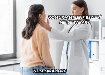 Koltuk Altı Lenf Bezleri Ne İşe Yarar?