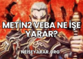 Metin2 Veba Ne İşe Yarar?