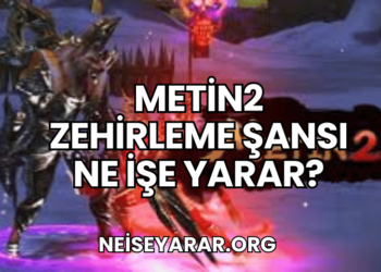 Metin2 Zehirleme Şansı Ne İşe Yarar?