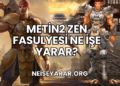 Metin2 Zen Fasulyesi Ne İşe Yarar?