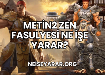 Metin2 Zen Fasulyesi Ne İşe Yarar?