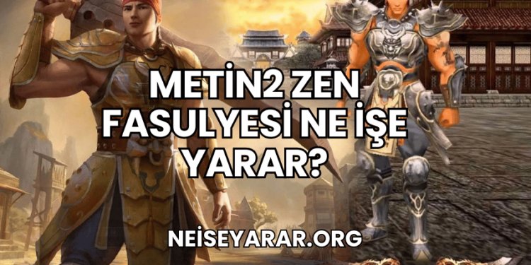 Metin2 Zen Fasulyesi Ne İşe Yarar?