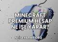 Minecraft Premium Hesap Ne İşe Yarar