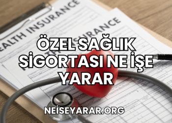 Özel Sağlık Sigortası Ne İşe Yarar