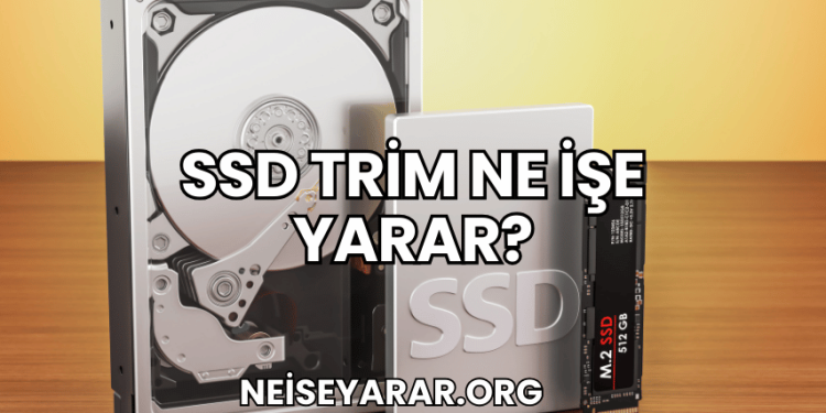 SSD Trim Ne İşe Yarar?