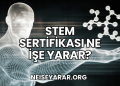 STEM Sertifikası Ne İşe Yarar?