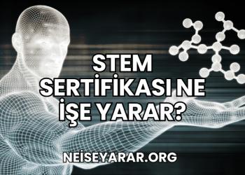 STEM Sertifikası Ne İşe Yarar?