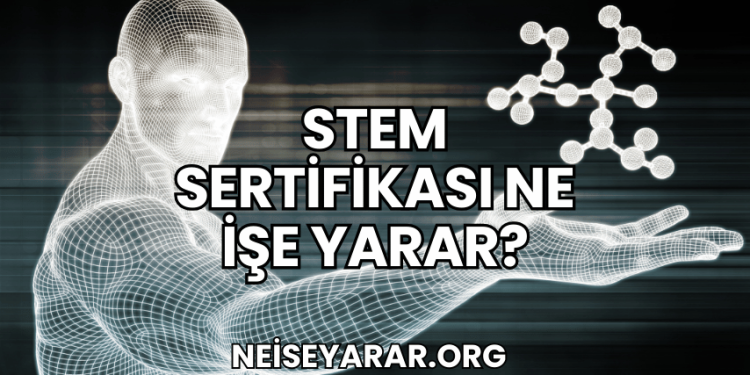 STEM Sertifikası Ne İşe Yarar?